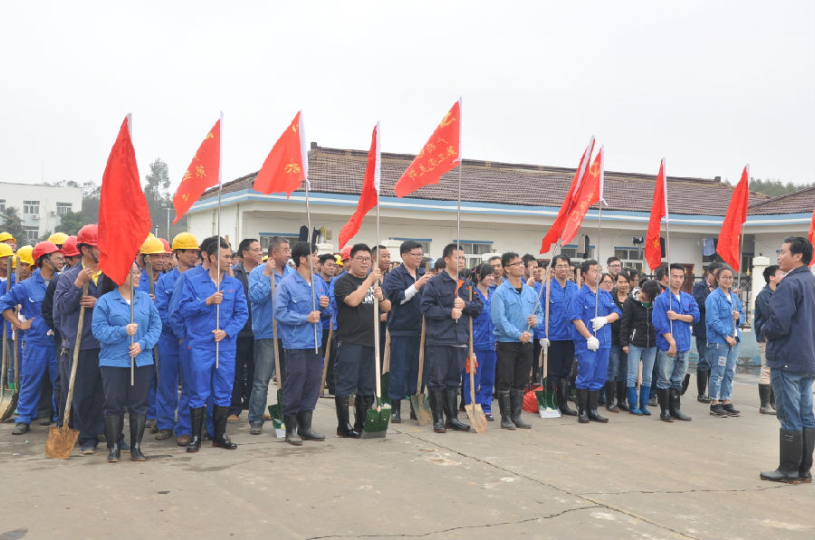 讓森林走進(jìn)銀億，讓銀億擁抱森林